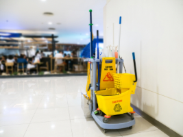 Janitorial Services